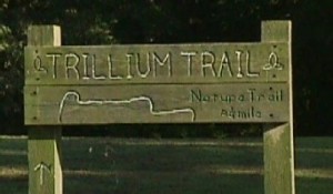 Trillium Trail